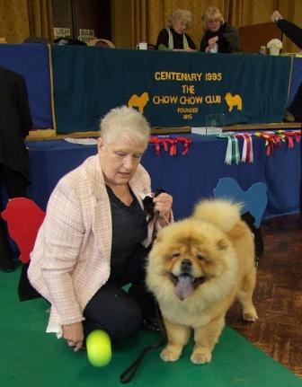 The Chow Chow Club